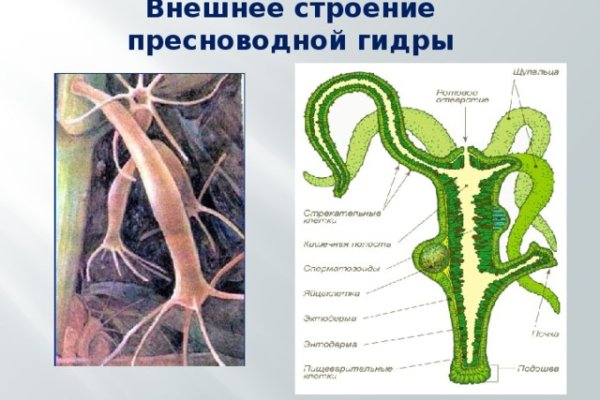 Кракен магазин зеркало